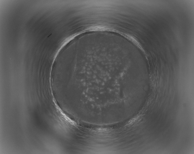 X0000058760839200510031017
