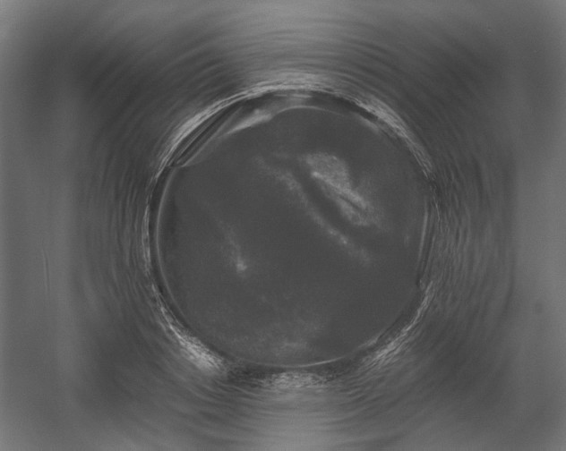 X0000058760842200510031017