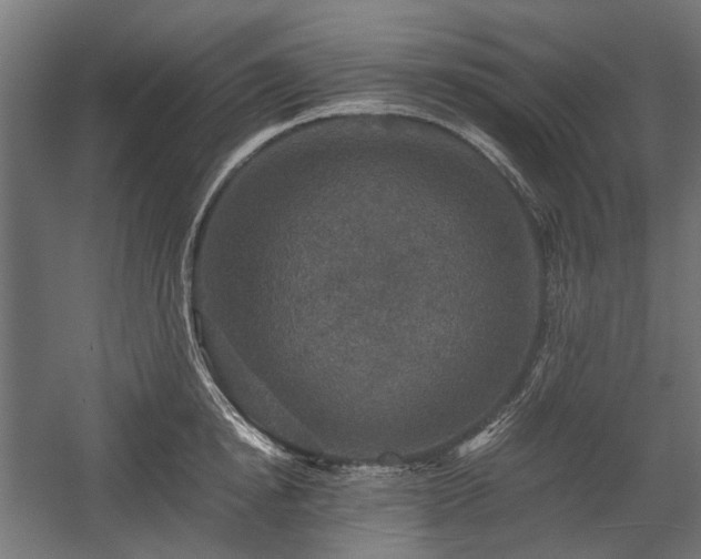 X0000058760854200510031017