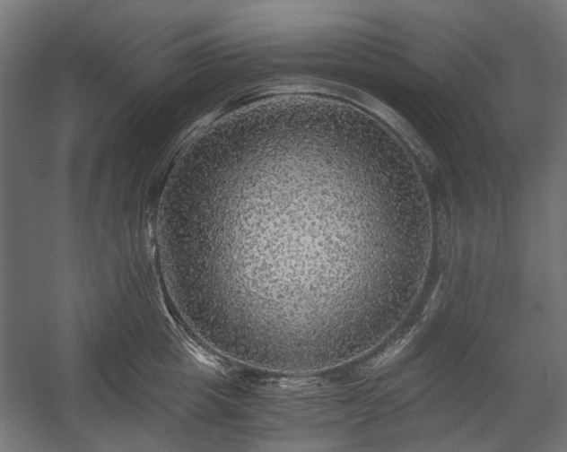 X0000058760857200510031017