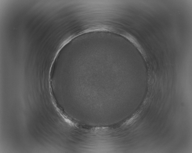 X0000058760858200510031017