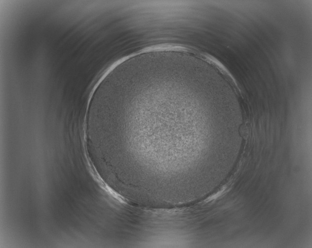 X0000058760860200510031017
