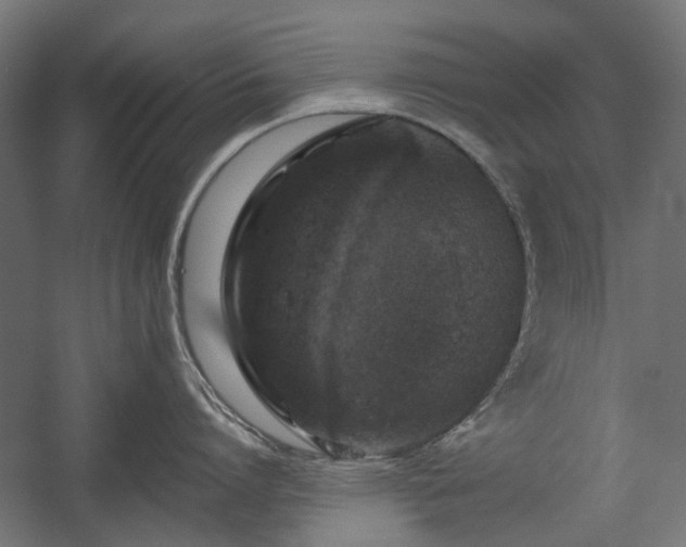 X0000058760864200510031017