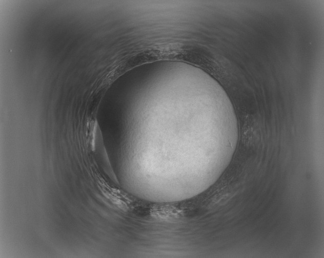 X0000058760866200510031016