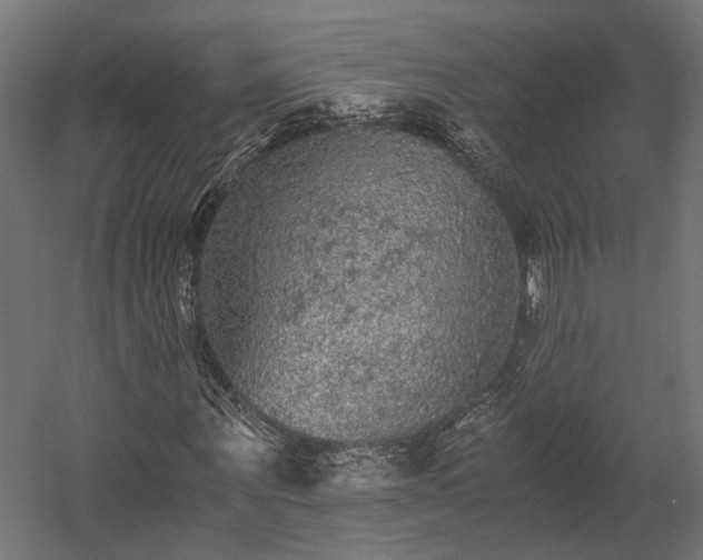 X0000058760867200510031016