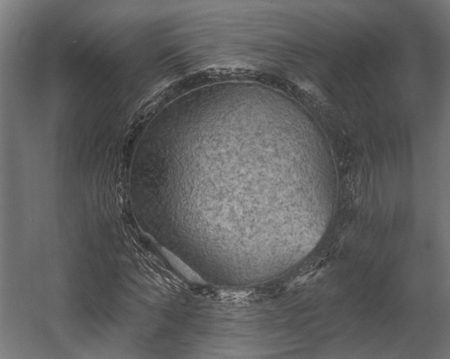 X0000058760870200510031016