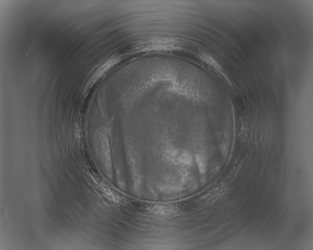 X0000058760874200510031016