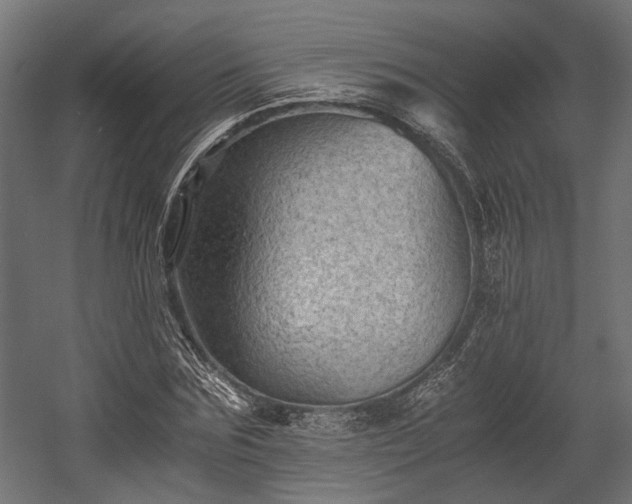 X0000058760875200510031016