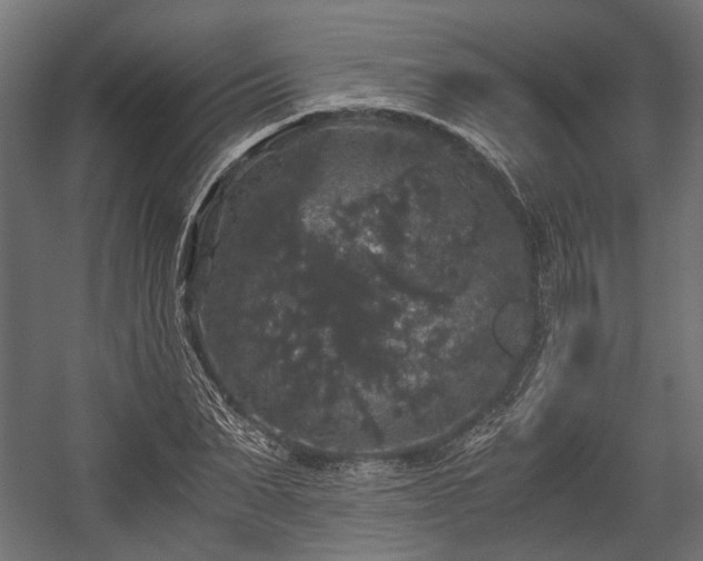 X0000058760879200510031016