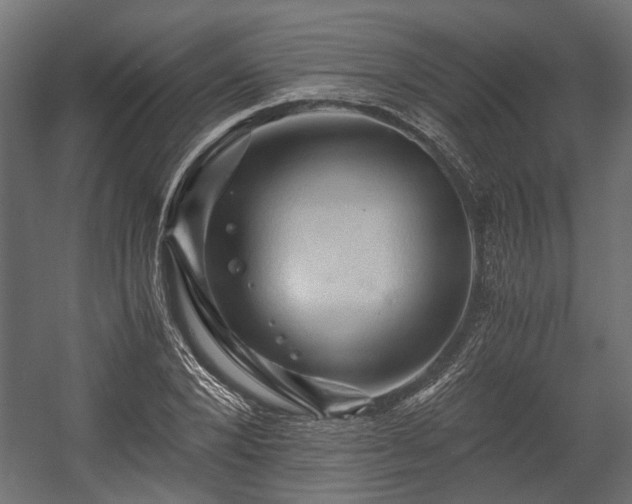 X0000058760880200510031016