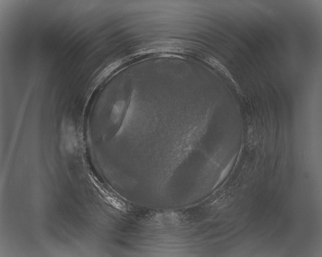 X0000058760882200510031016