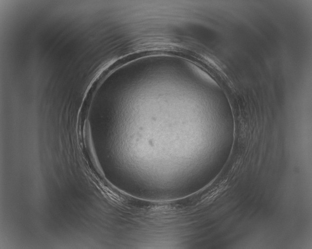 X0000058760883200510031016