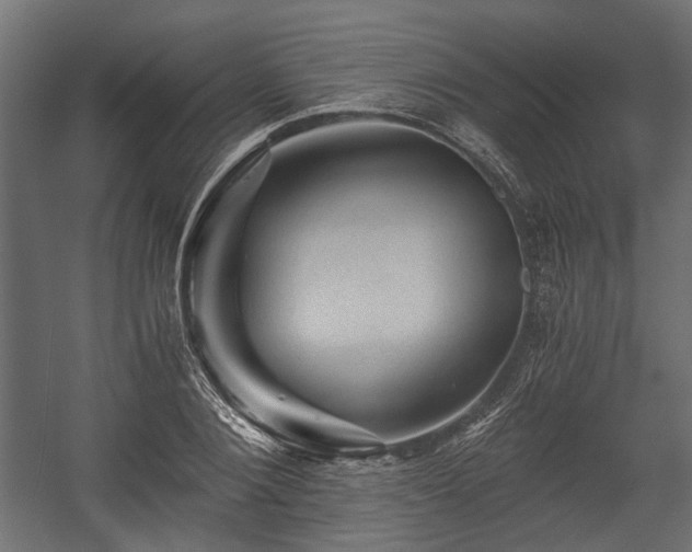 X0000058760884200510031016