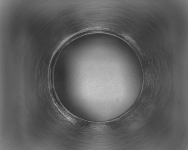 X0000058760886200510031016