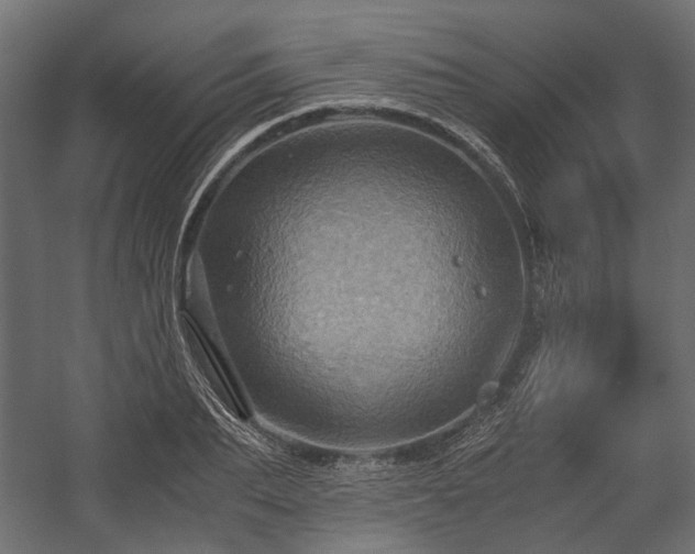 X0000058760887200510031016