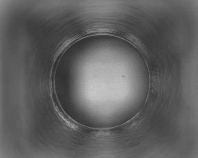 X0000058760890200510031016