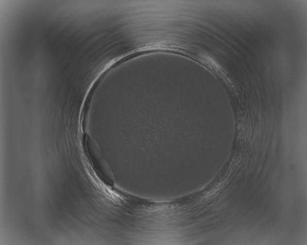 X0000058760892200510031016