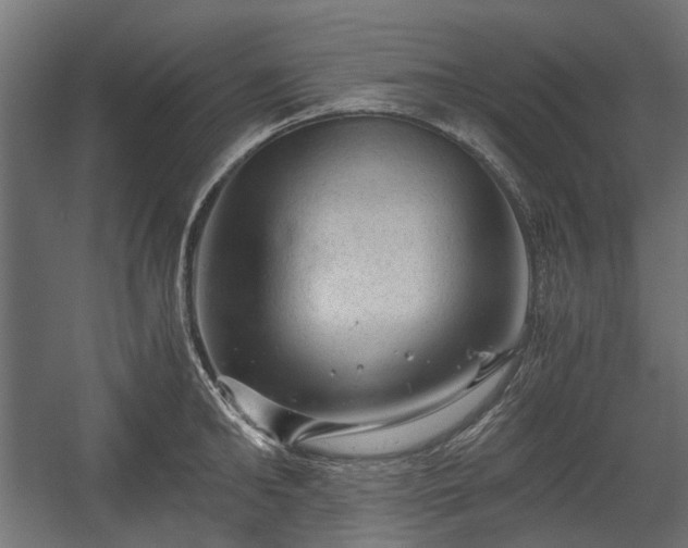 X0000058760902200510031016