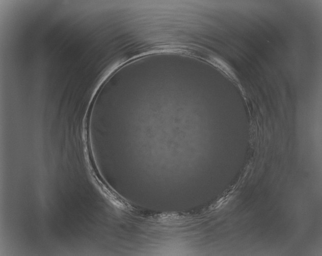 X0000058760907200510031015