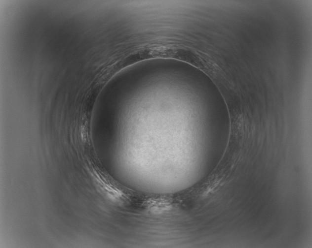 X0000058760914200510031014
