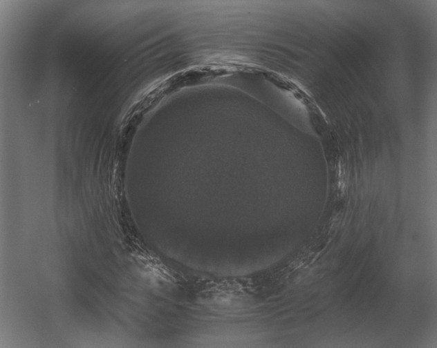 X0000058760919200510031015