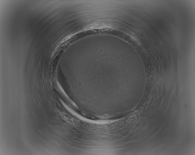 X0000058760920200510031015