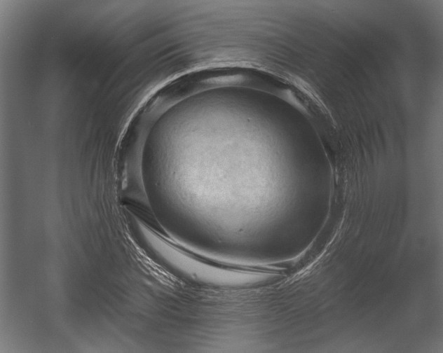 X0000058760926200510031015