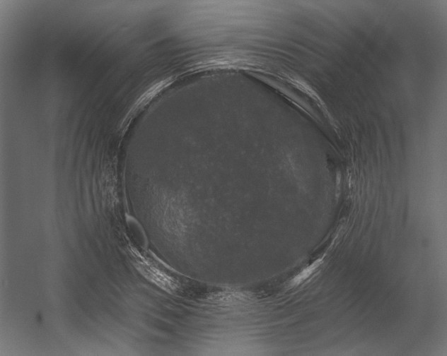 X0000058760930200510031015