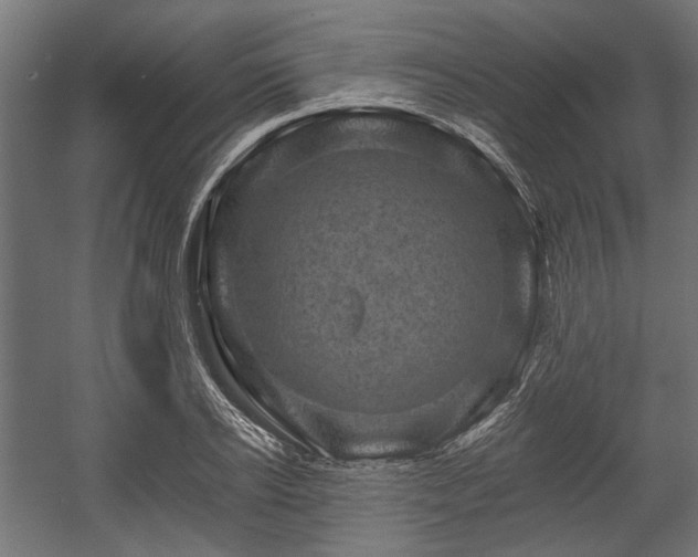 X0000058760934200510031015