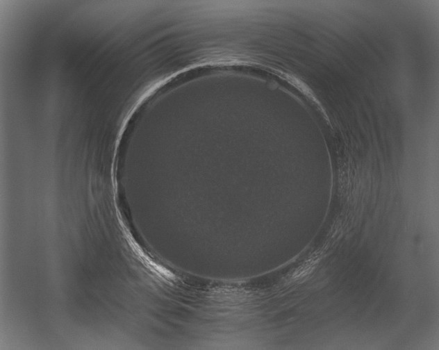 X0000058760935200510031015