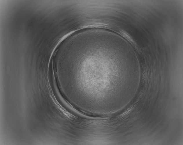 X0000058760940200510031015