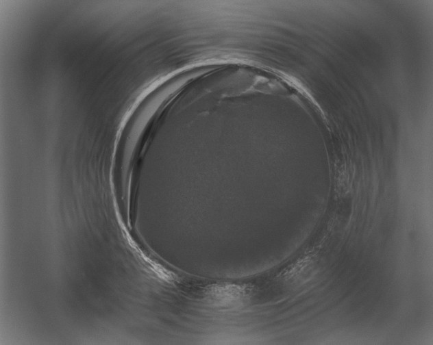 X0000058760943200510031015
