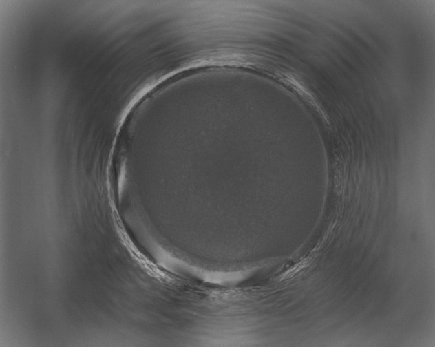 X0000058760944200510031015