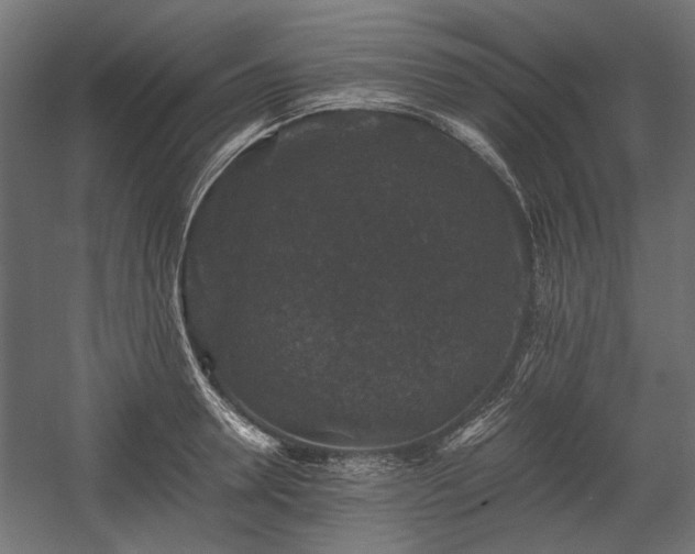 X0000058760946200510031015