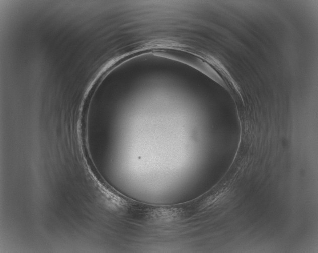 X0000058760947200510031015