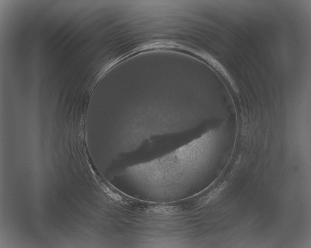 X0000058760953200510031015