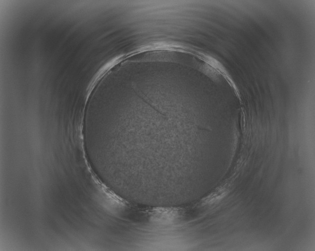 X0000058760954200510031015