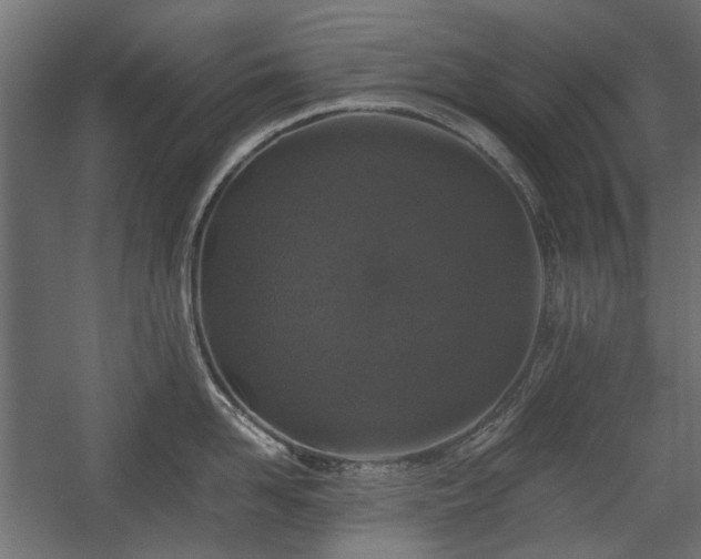X0000058760958200510031015