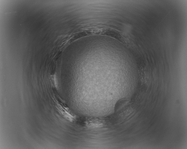 X0000058760962200510031014
