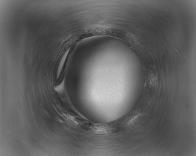 X0000058760964200510031014