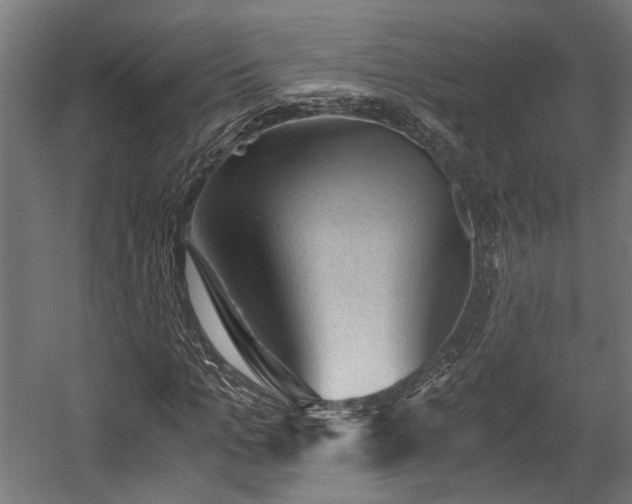 X0000058760965200510031014