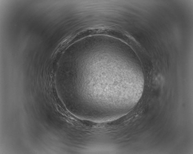X0000058760967200510031014