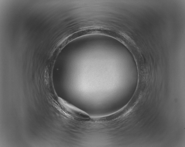 X0000058760969200510031014