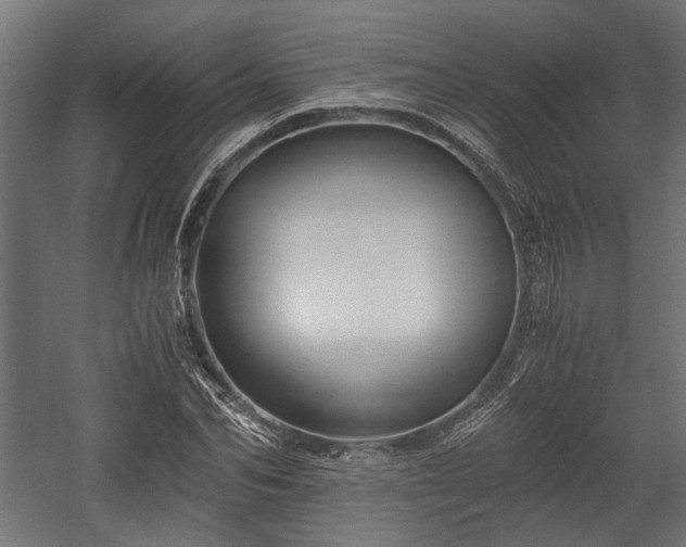X0000058760974200510031014