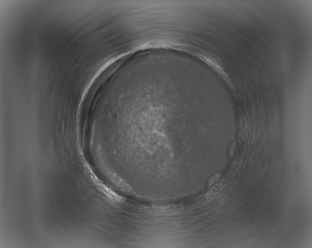 X0000058760976200510031014