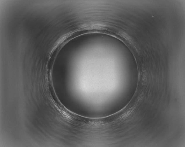 X0000058760978200510031014