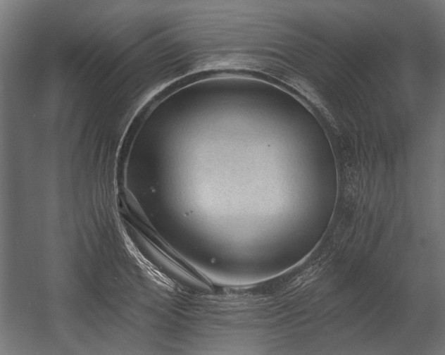 X0000058760980200510031014