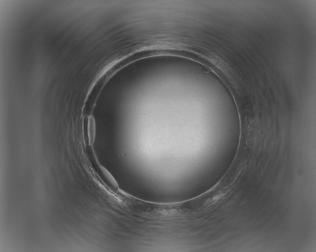 X0000058760982200510031014