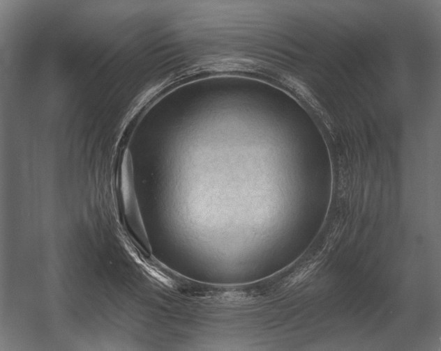 X0000058760986200510031014