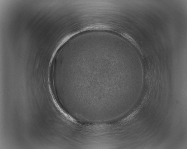 X0000058760989200510031014